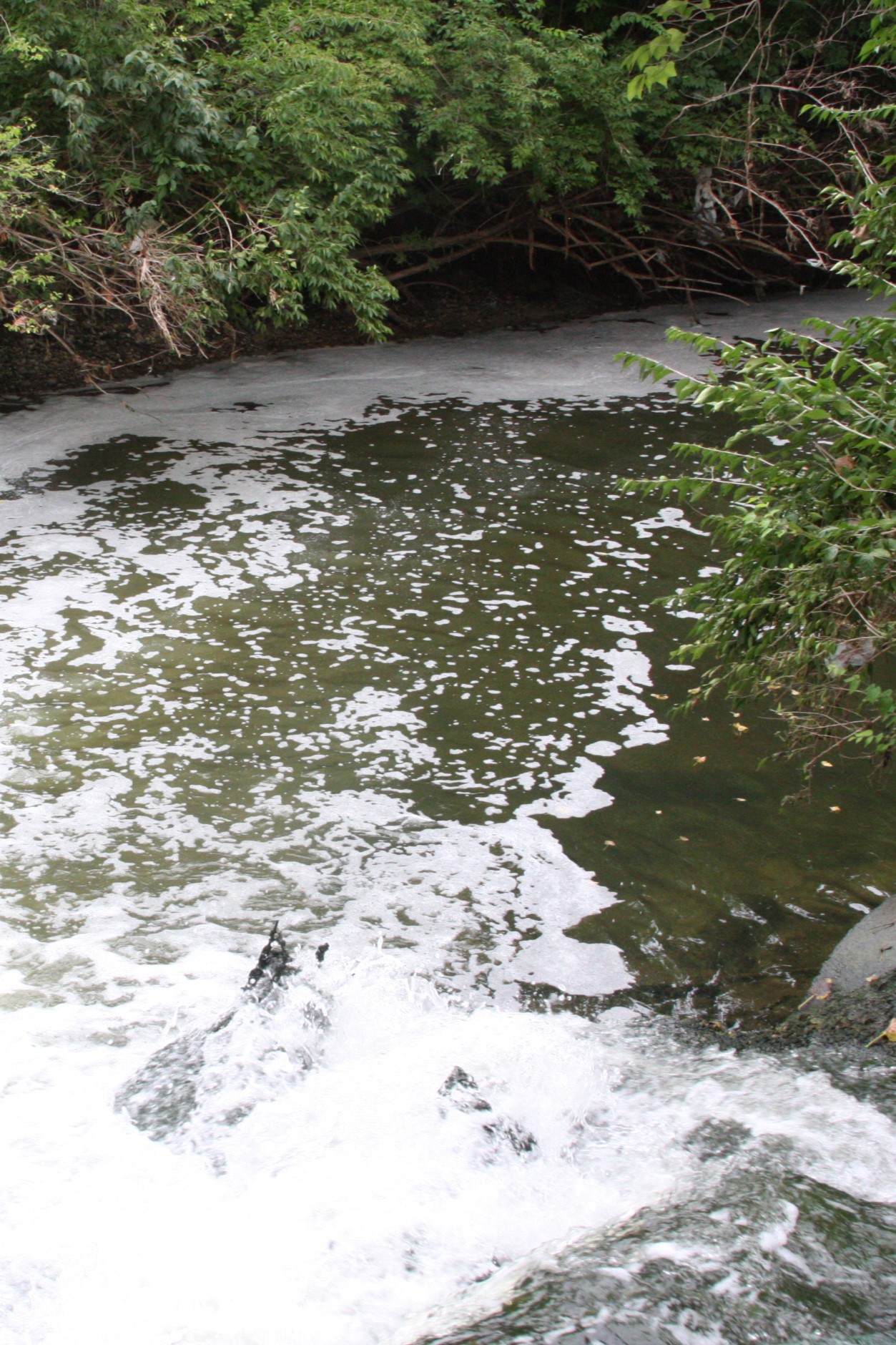 Sudsy looking water is discharged into a medium sized stream.